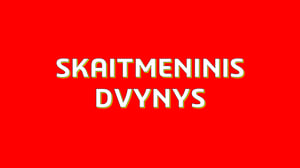 03-Skaitmeninis dvynys